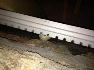 Spray foam to fill large gaps