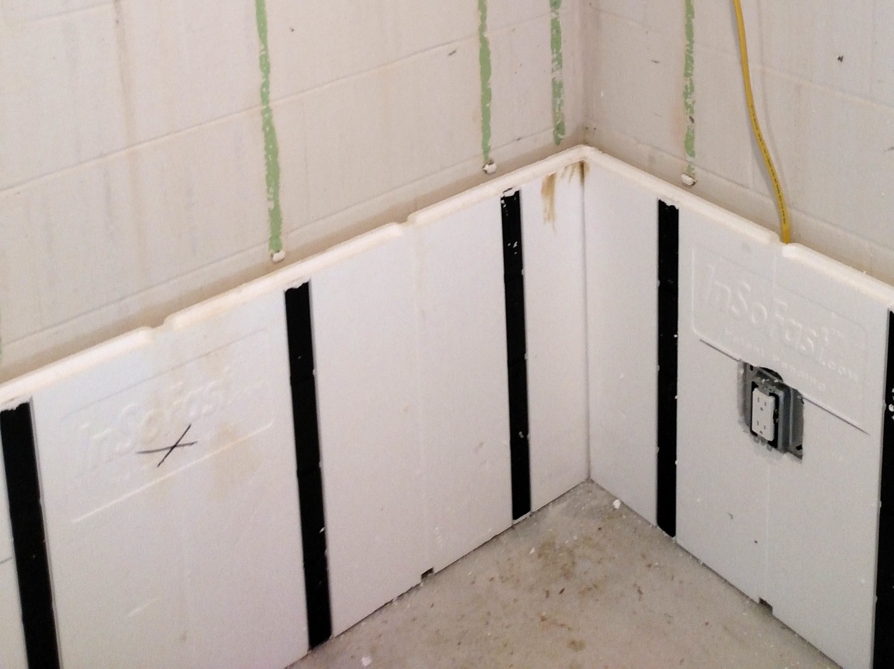 How to Prevent Mold in Basements insofast-mold-kevin